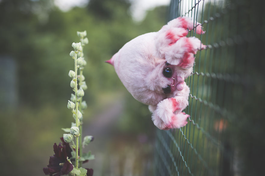 We Found New Species In Our Garden