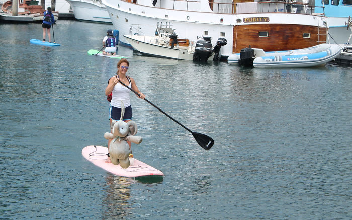 Going For A Little Paddle Boarding In Santa Cruz, California.