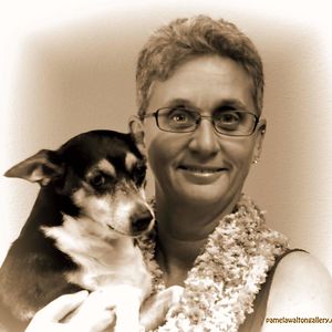 photographybypamela808 avatar