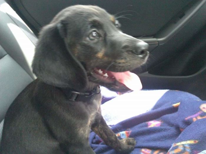 Riding To My Forever Home...