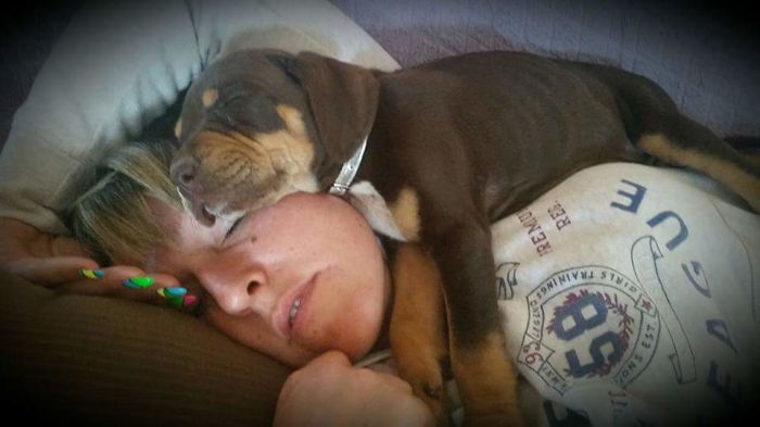 The Day After We Adopted Him