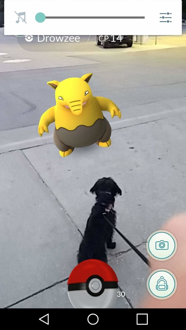 Dog on a leash looking at a Drowzee in Pokémon Go, illustrating pets reacting to augmented reality visuals.