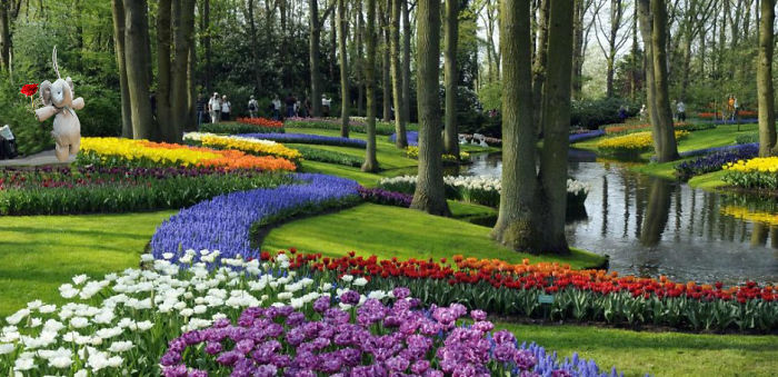 At The Keukenhof Lisse,the Netherlands