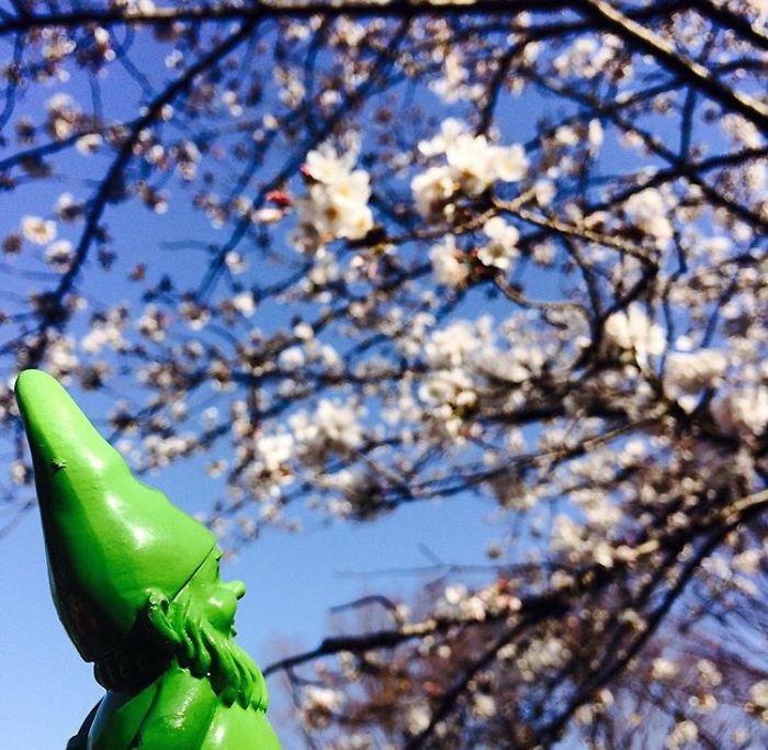 This Cheerful Gnome Is Travelling The World And He'll Make You Want To Travel Too This Cheerful Gnome Is Travelling The World And He'll Make You Want To Travel Too