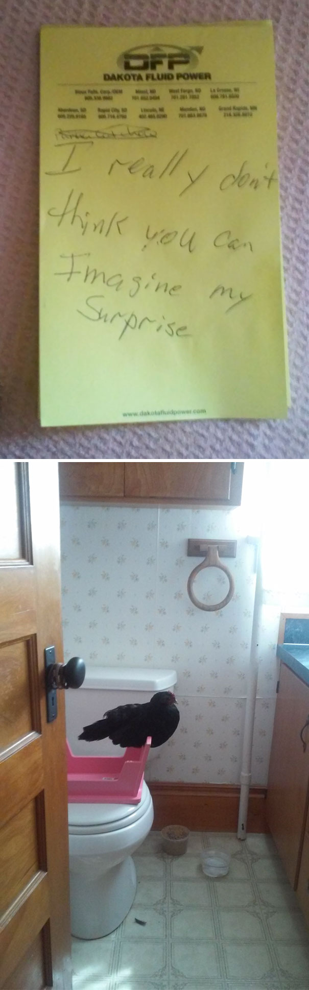 Only Thing Less Expected Is...