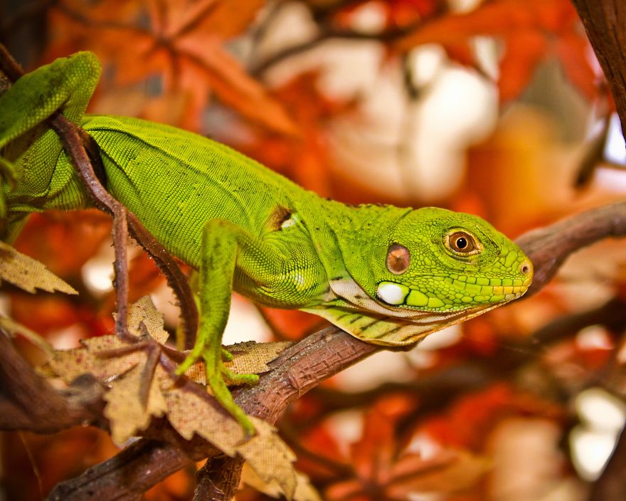 I Photographed Guadeloupe, The Place In The Caribbean Where I Was Born I Photographed Guadeloupe, The Place In The Caribbean Where I Was Born