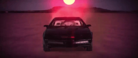 Hamster Becomes The Hoff!