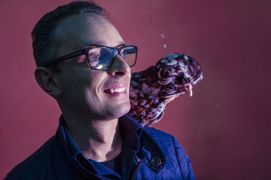 I Photograph Model-Like Portraits Of Stylish Chickens I Photograph Model-Like Portraits Of Stylish Chickens