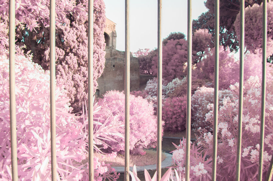 I Photographed Rome In Infrared I Photographed Rome In Infrared