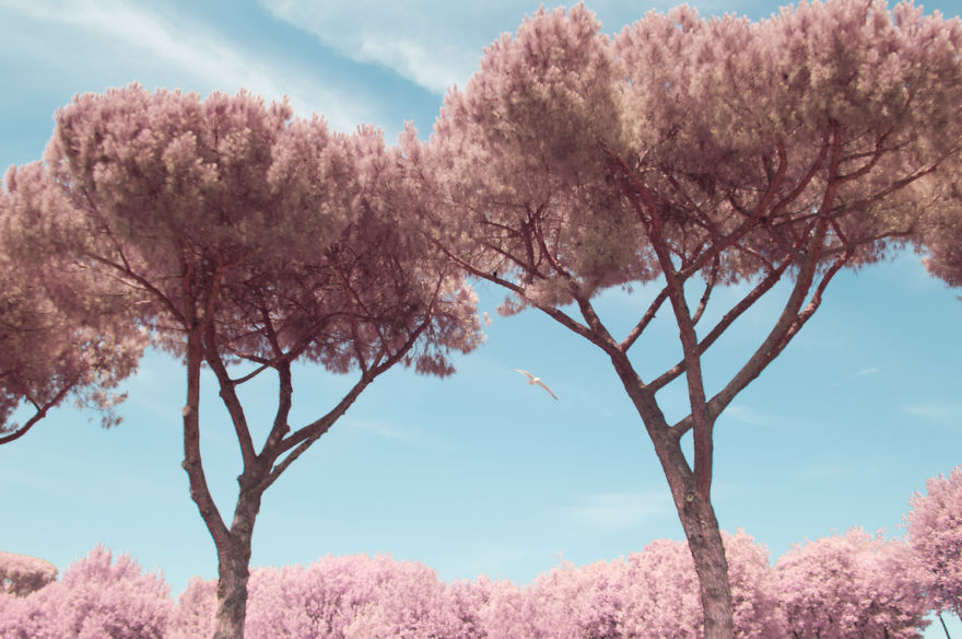 I Photographed Rome In Infrared