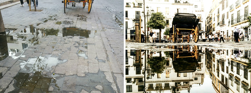 Hidden Parallel Worlds Of Everyday Puddles Captured With My Smartphone
