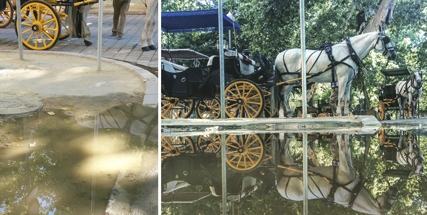 Hidden Parallel Worlds Of Everyday Puddles Captured With My Smartphone