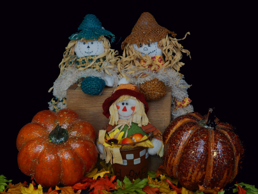 I Have Spent Hours And Hours Setting Up Still Life Photos To Photograph!