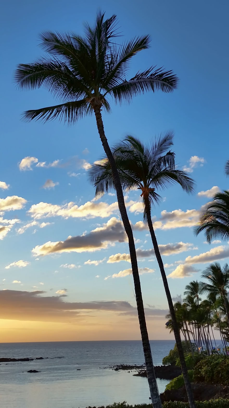 I Have Spent Many Evenings At The Ocean To Capture The Perfect Hawaiian Sunset! I Have Spent Many Evenings At The Ocean To Capture The Perfect Hawaiian Sunset!