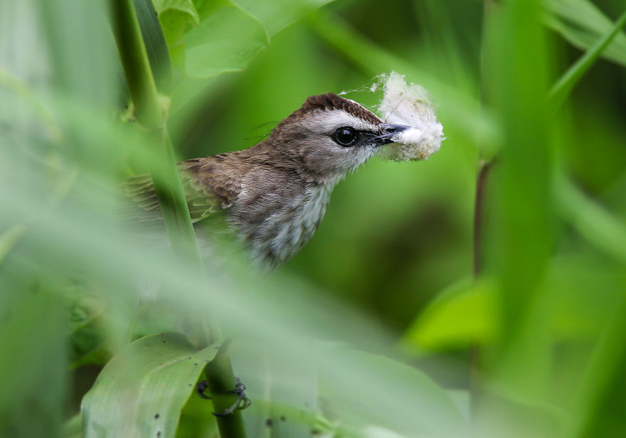 I've Been Exploring Borneo Rainforest And Here Are My Jungle Friends That Need Our Protection I've Been Exploring Borneo Rainforest And Here Are My Jungle Friends That Need Our Protection
