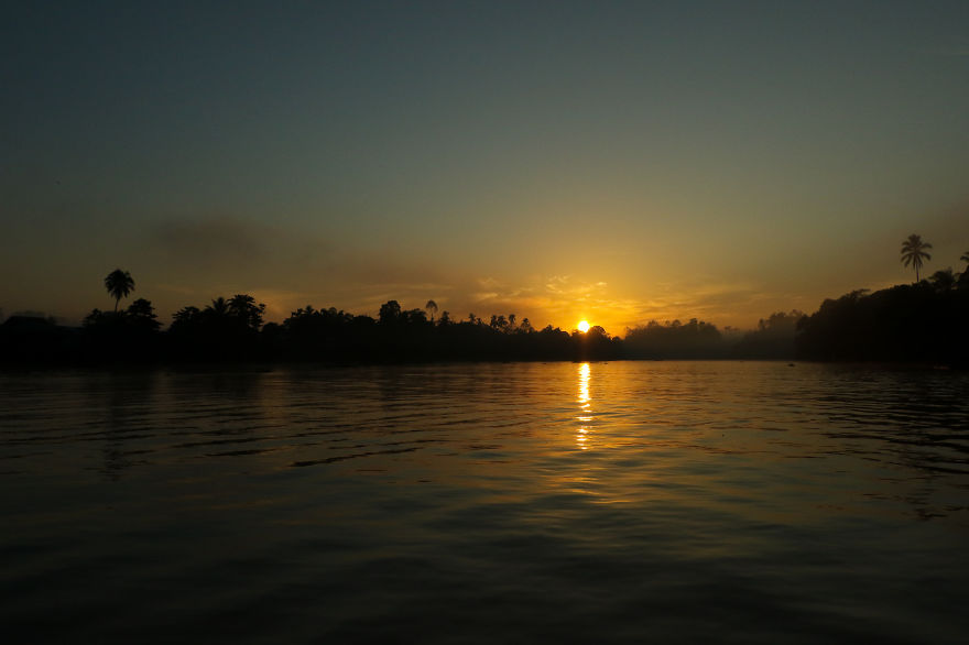 I've Been Exploring Borneo Rainforest And Here Are My Jungle Friends That Need Our Protection
