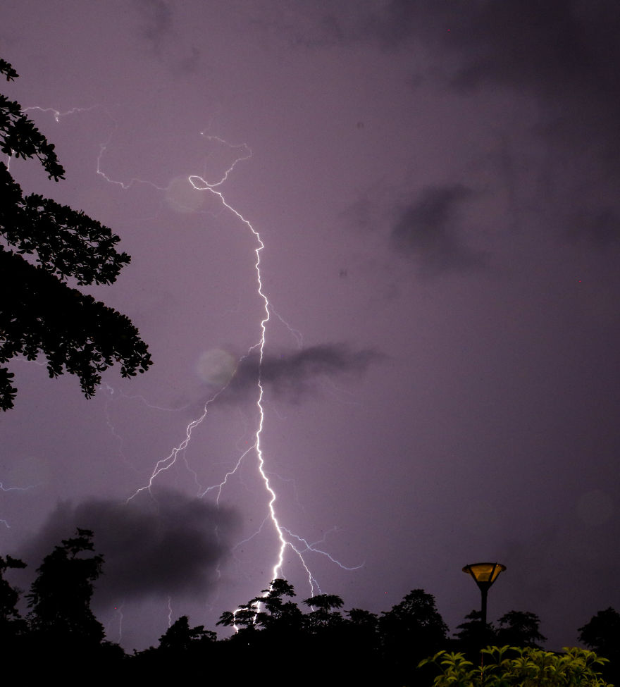 I've Been Exploring Borneo Rainforest And Here Are My Jungle Friends That Need Our Protection I've Been Exploring Borneo Rainforest And Here Are My Jungle Friends That Need Our Protection