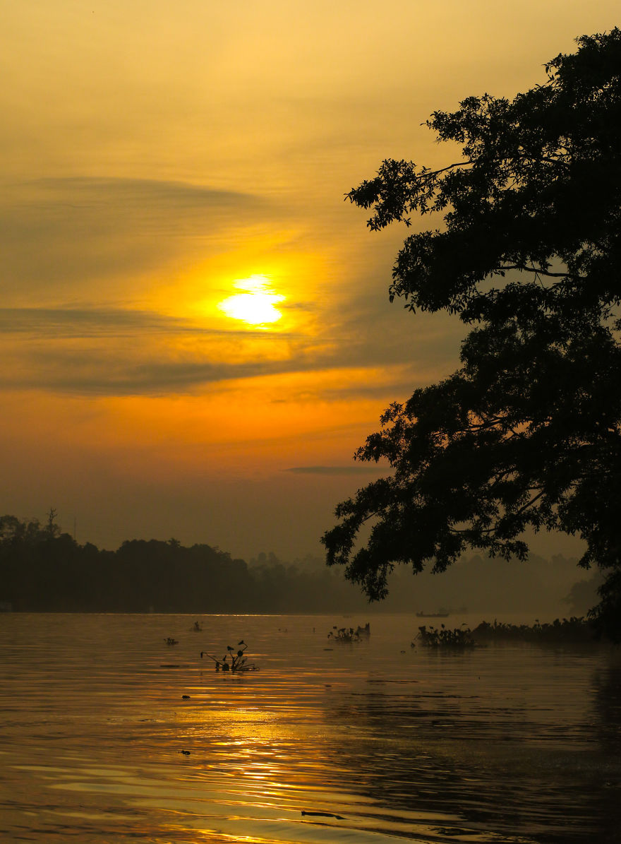 I've Been Exploring Borneo Rainforest And Here Are My Jungle Friends That Need Our Protection I've Been Exploring Borneo Rainforest And Here Are My Jungle Friends That Need Our Protection