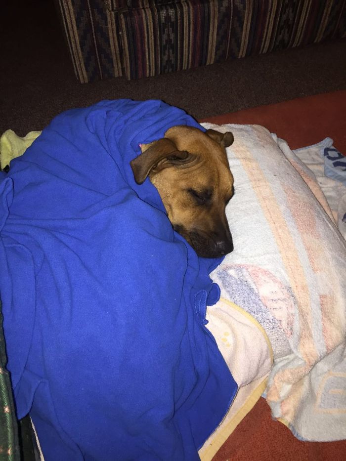 Eevee's First Night Out Of The Cold