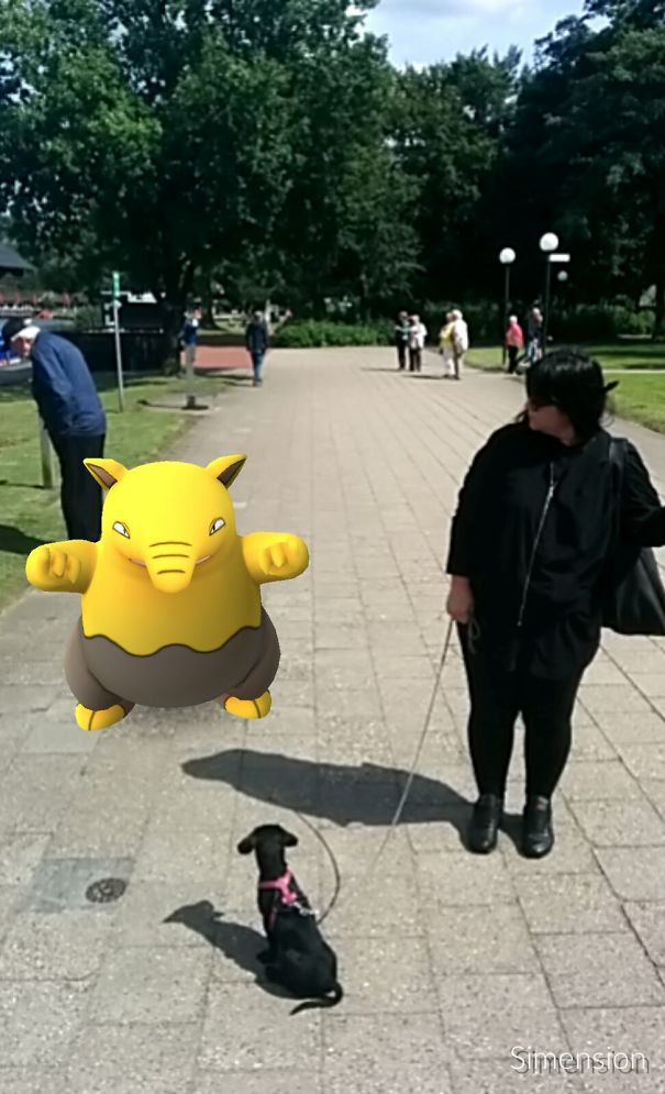 Dog looking at Pokémon on sidewalk with owner in park, illustrating pets seeing Pokémon Go.