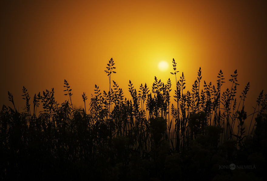 Details Of Short But Beautiful Summer In My Homeland Finland