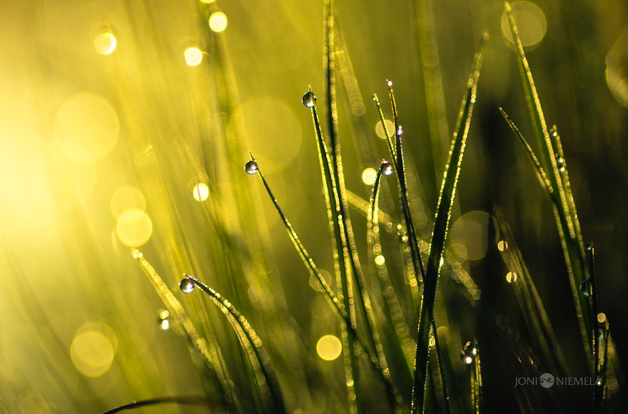 Details Of Short But Beautiful Summer In My Homeland Finland