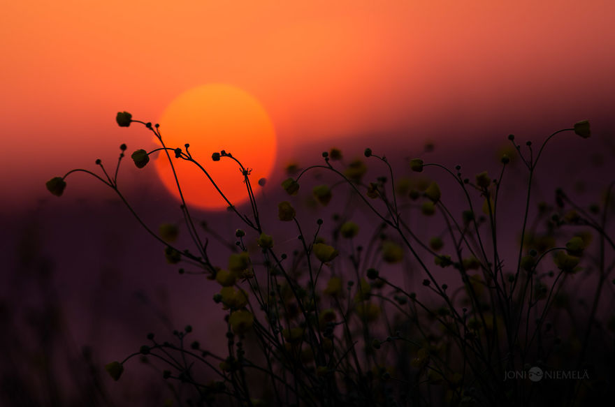Details Of Short But Beautiful Summer In My Homeland Finland