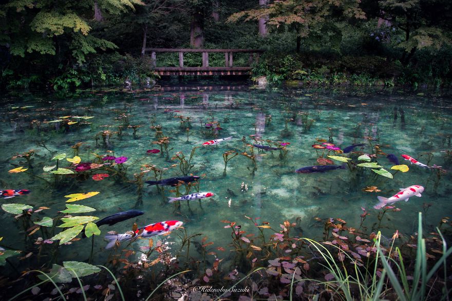 'Monet's Pond' In Japan That Looks Like Monet's Paintings