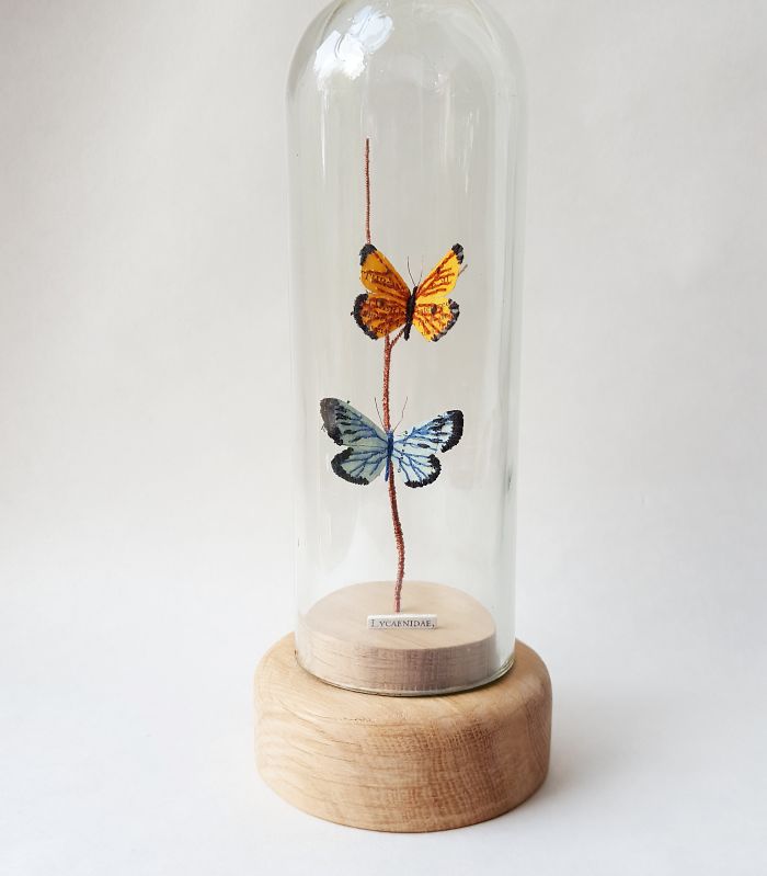 I Create Bugs, Butterflies, And Insects Using Recycled Paper, Wire And Thread