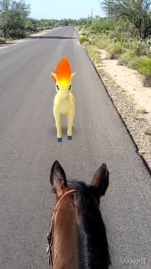 Horse encounters a Pokémon on a rural road in Pokémon Go, showcasing pet's reaction to the virtual creature.