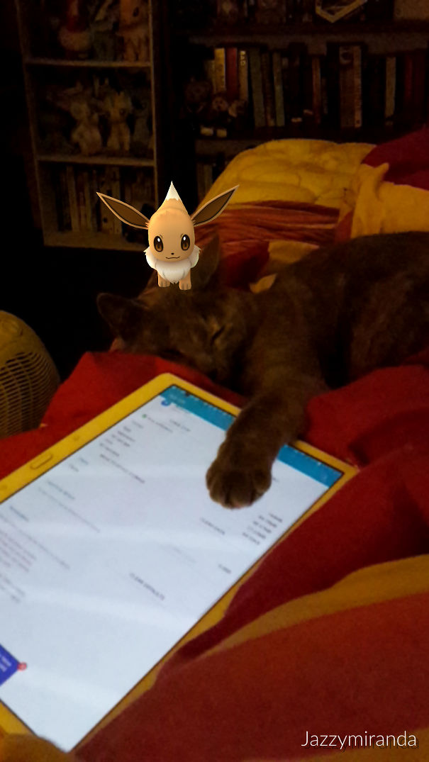 Cat reacts to virtual Pokémon character on tablet screen in dark room.