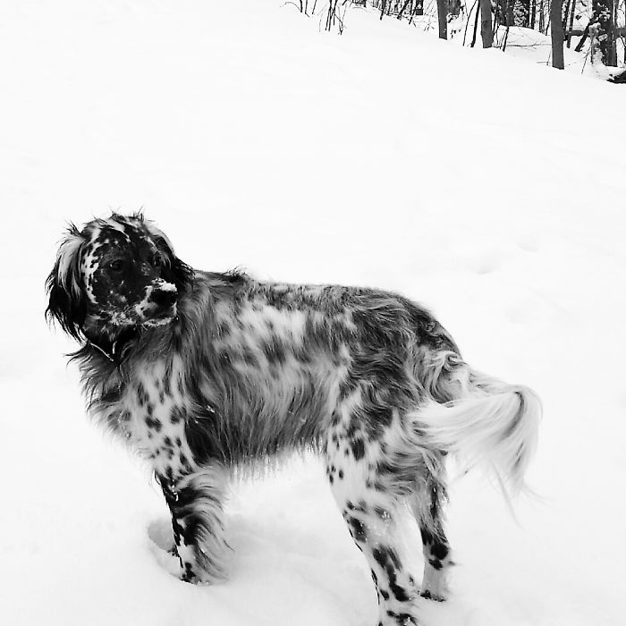 We Rescued Each Other.