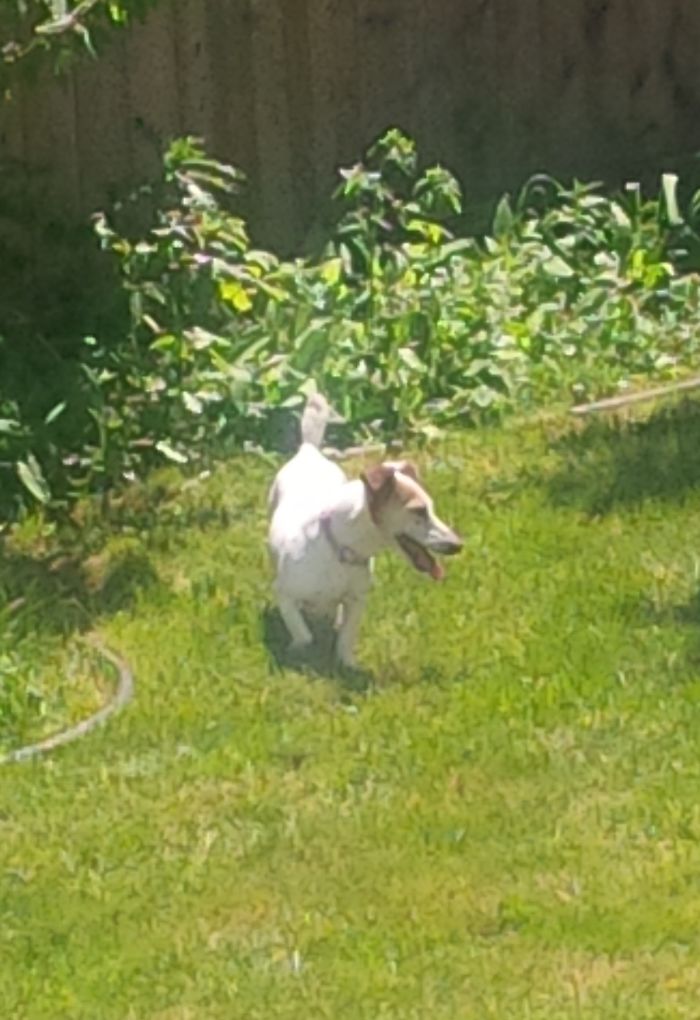 My First Time In 10 Years On Grass In My Retireme Home