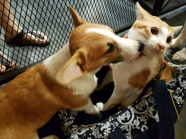 Oh No, She's Kissing Me! Xoxo. Kara & Cheese