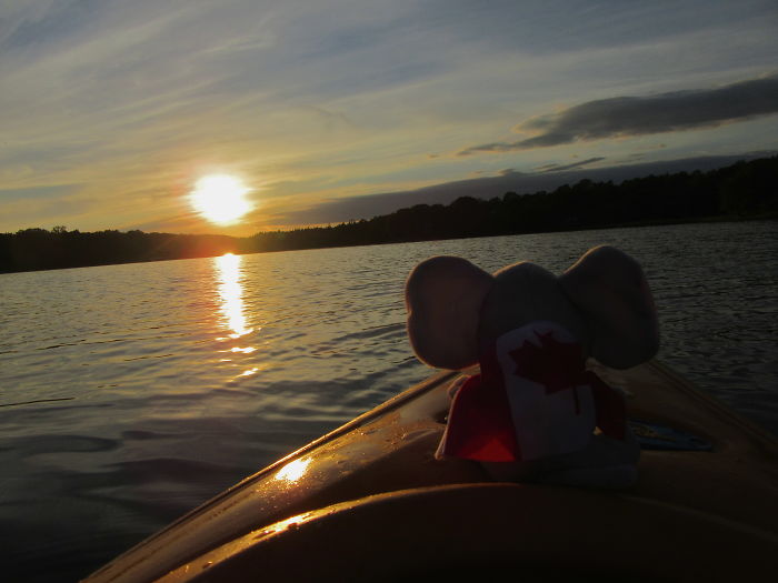 Enjoying The Sunset In Nova Scotia, Canada