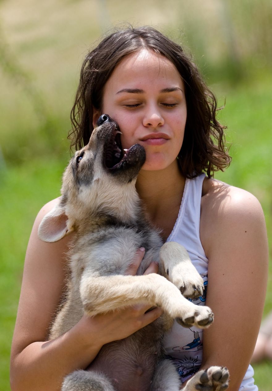 I Photographed A Family Living With Wolves