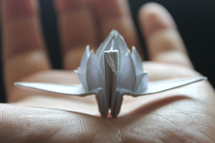 My Origami Cranes Take An Imaginary Trip Around The World