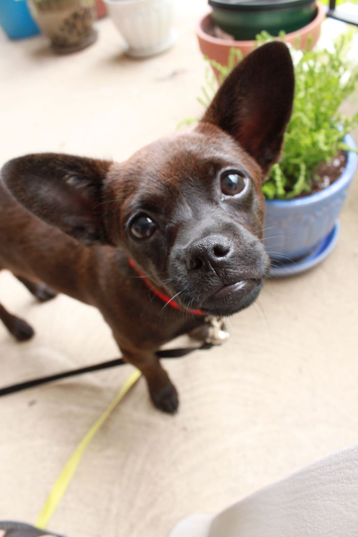 Recently Celebrated A Year With This Guy.