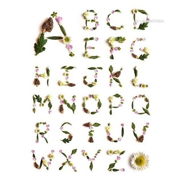 Playing With Flowers And Make 30 Shapes