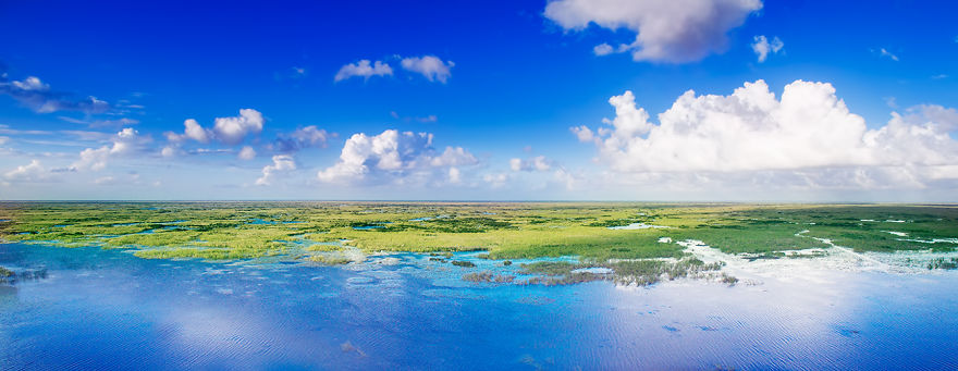 In The Hall Of The Swamp King And Other Tales From The Everglades In The Hall Of The Swamp King And Other Tales From The Everglades