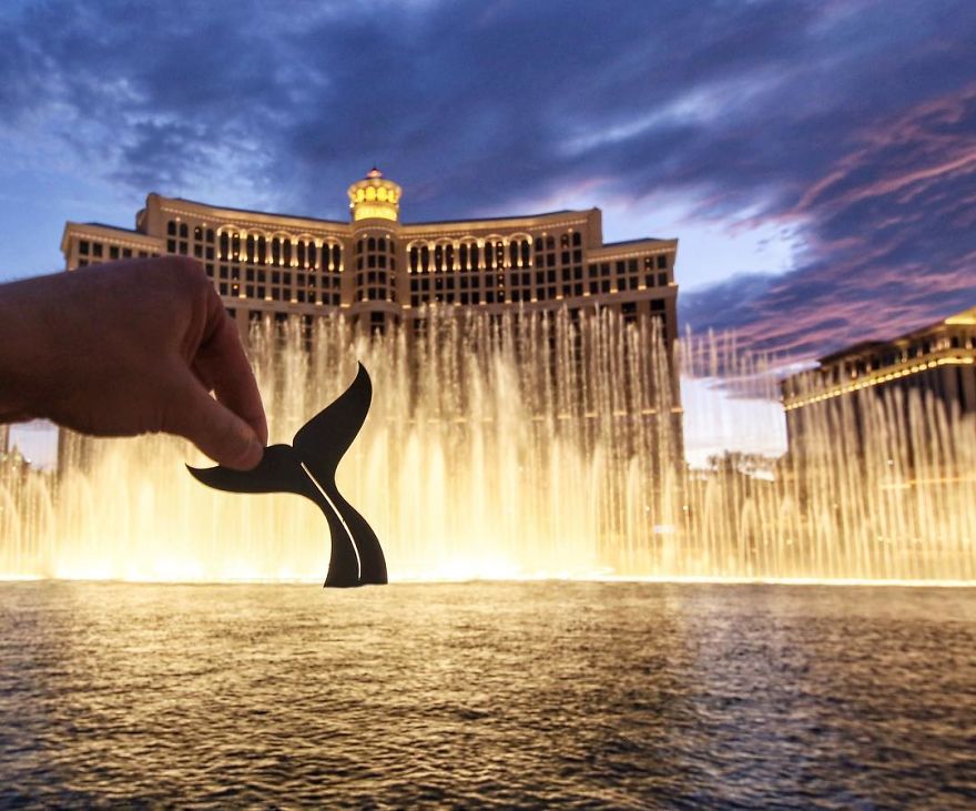 Whale Watching At Bellagio Hotel, Las Vegas