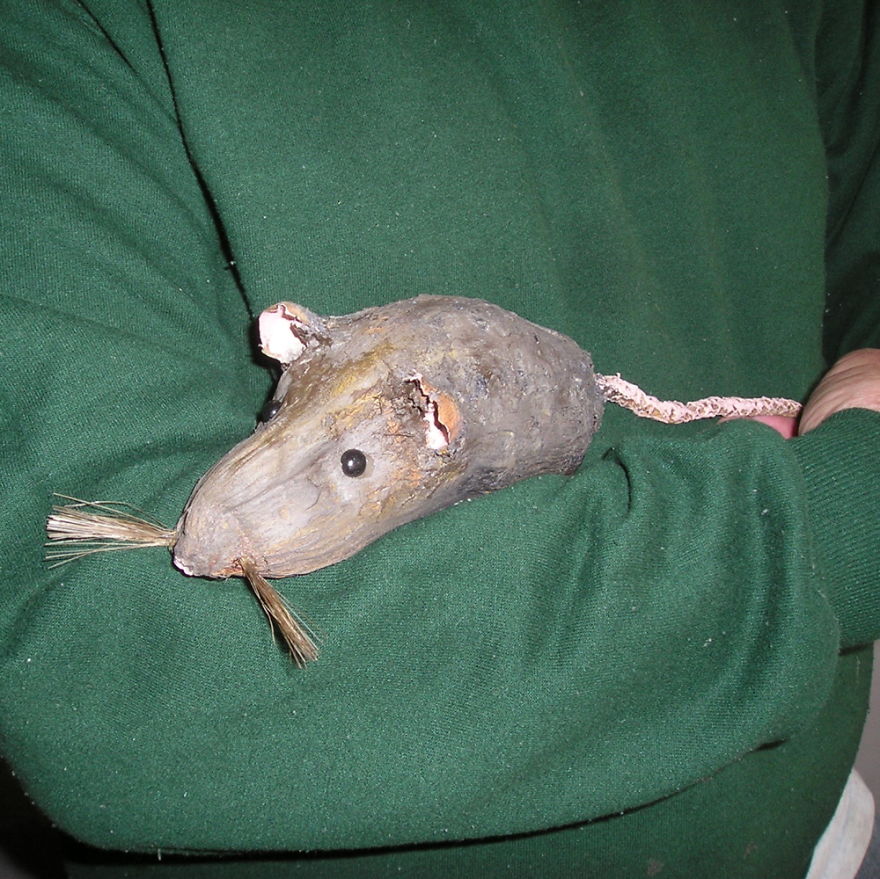 Lab Rats & Titmice Lab Rats & Titmice