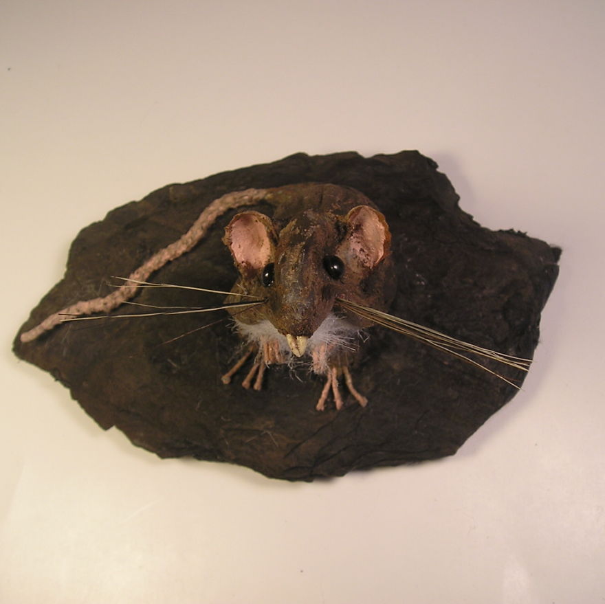 Lab Rats & Titmice Lab Rats & Titmice