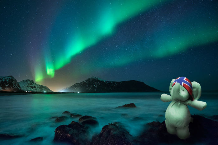 So Amazing: Aurea Borealis On Lofoten Islands, Norway