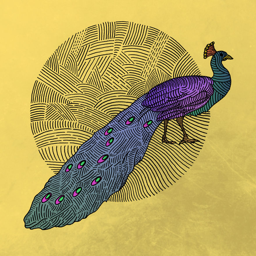 Creating Illustrations Is My Biggest Passion