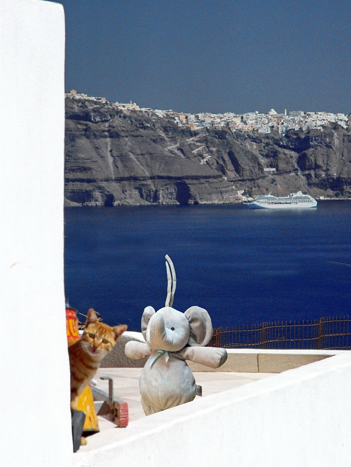 In Greece Making New Friends @ Thirassia Island Next To Santorini