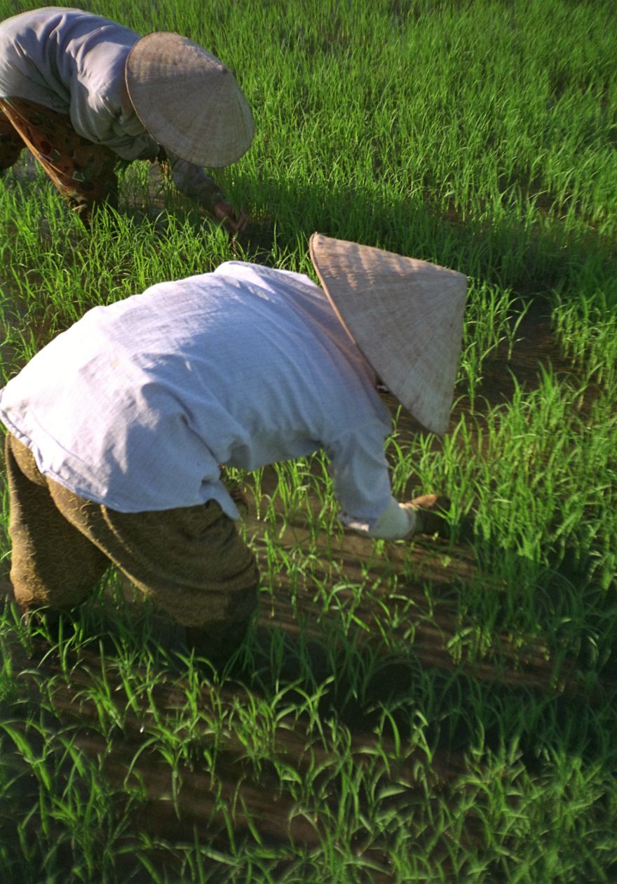 My Favourite Travel Photographs