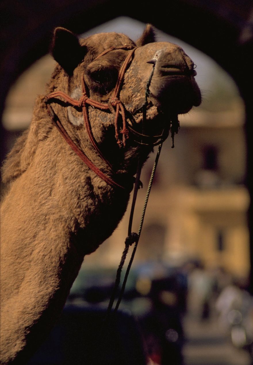 My Favourite Travel Photographs