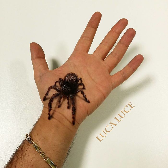 My Handpainting 3d For Your