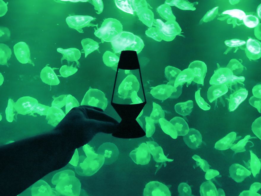 Lava Lamp, Ocean Park, Hong Kong